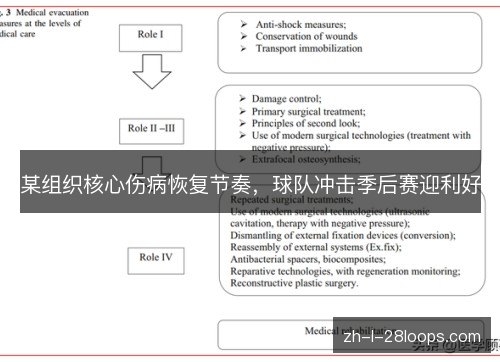 某组织核心伤病恢复节奏,球队冲击季后赛迎利好 某组织核心伤病恢复节奏,球队冲击季后赛迎利好